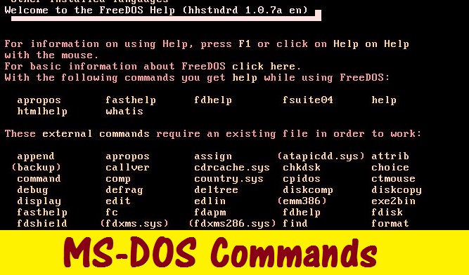 MS-DOS-Part-21-A-command Line Basic Overview | HARTRON EXAM